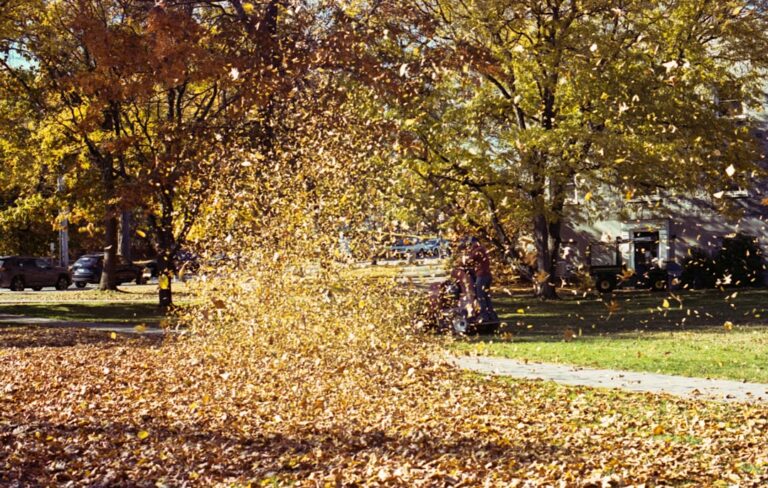 fall leaf dust control
