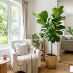 natural dust allergy relief